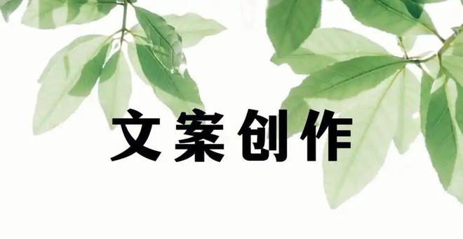 狂欢让品牌声音响彻云霄龙8头号玩家双十二文案