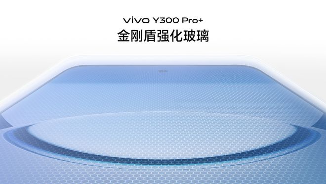 大 vivo Y300 Pro+正式发布龙8国际电子游戏娱乐平台续航灭霸 +倍强(图5)