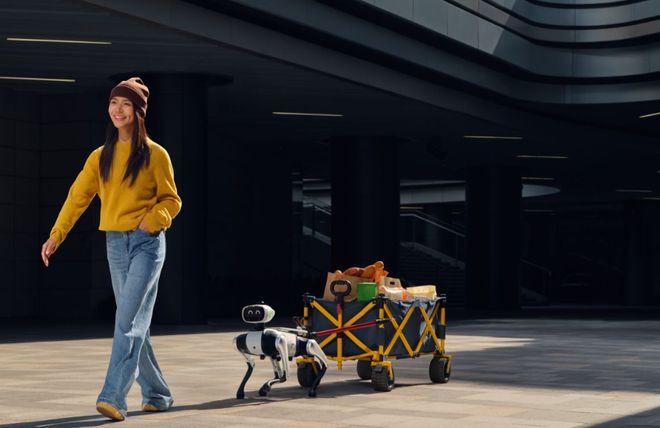 的机器狗出现了！9988元抢爆免遥控陪你出门徒步、买菜、逛街(图2)