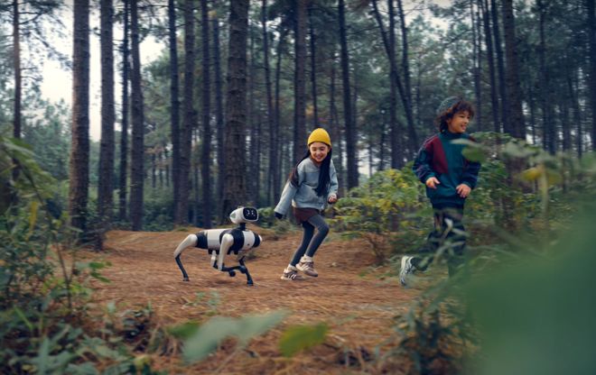 的机器狗出现了！9988元抢爆免遥控陪你出门徒步、买菜、逛街(图3)